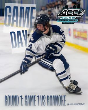 Image post by @unfhockey on Instagram