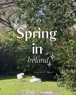 Image post by @cieedublin on Instagram