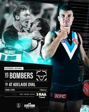Image post by @PAFC on Twitter