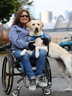 Image post by @canineorg on Instagram