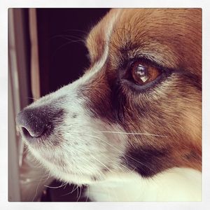 Image post by @thesuziehunter on Instagram