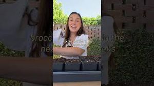 Video post by @carmeninthegarden on YouTube