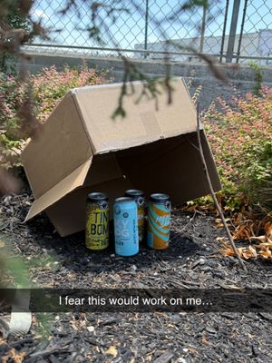 Image post by @wiseacrebrewingcompany on Instagram