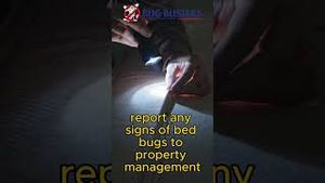 Video post by @bugbustersusa on YouTube