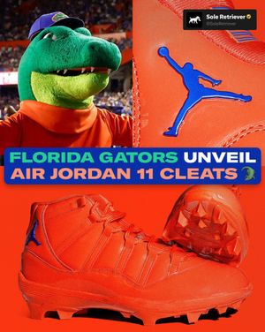 Image post by @soleretriever on Instagram