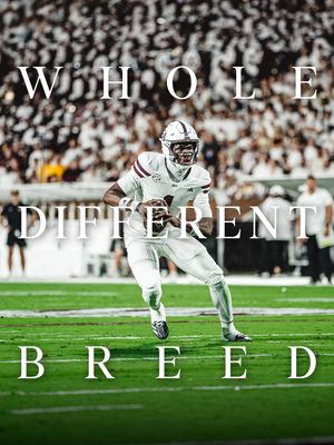 Image post by @adidasusfootball on Instagram