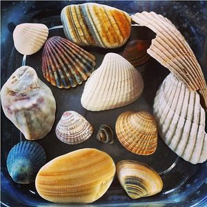 Image post by @theouterbanksnc on Instagram