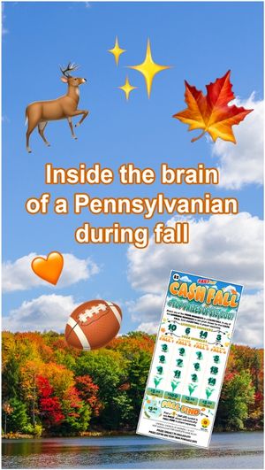Video post by @palottery on Instagram