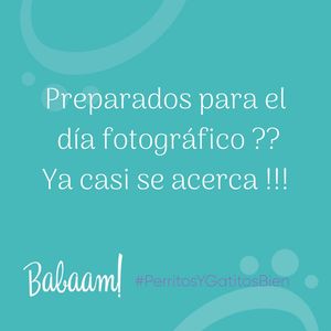 Image post by @babaamstore on Instagram
