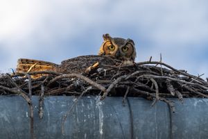 Image post by @huntsphotovideo on Instagram