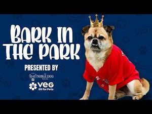 Video post by @thegreenvilledrive on YouTube