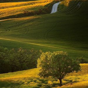 Image post by @lucagiustozzi on Instagram