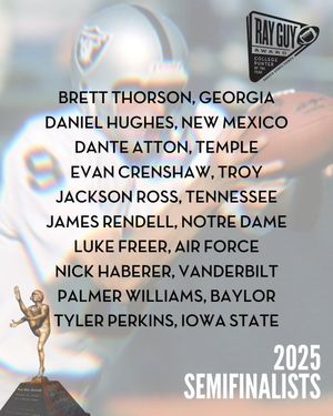 Image post by @RayGuyAward on Twitter