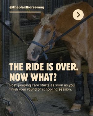 Image post by @theplaidhorsemag on Instagram