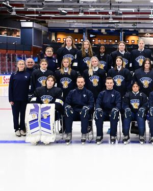 Image post by @leijonatfi on Instagram