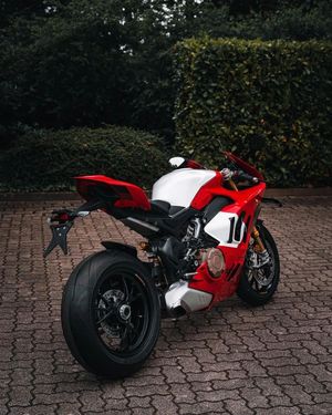 Image post by @panigalers on Instagram