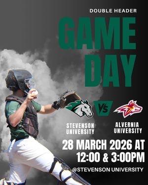 Image post by @stevensonbsb on Instagram