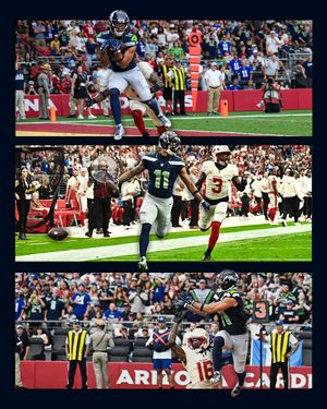 Image post by @seahawks on Instagram