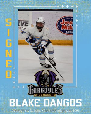 Image post by @liumhockey on Instagram