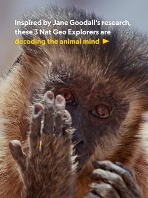 Image post by @natgeosociety on Instagram