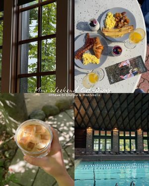 Video post by @morgan.exploring on TikTok