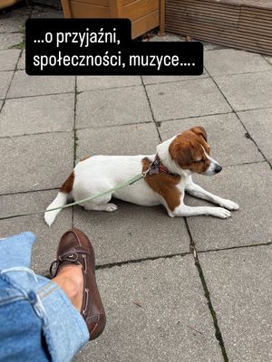 Image post by @anna_mo_anna on Instagram