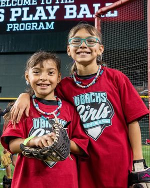 Image post by @dbacksgiveback on Instagram