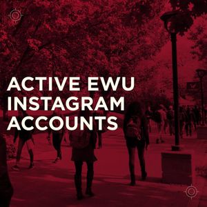 Image post by @dosewu on Instagram