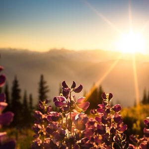 Image post by @whistlerblackcomb on Instagram