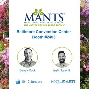 Image post by @moleaer on Instagram