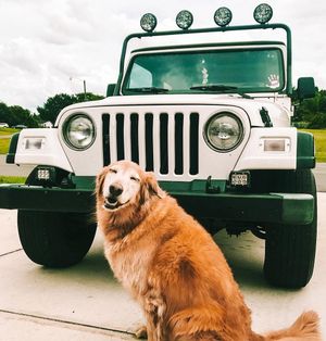 Image post by @jeep on Instagram