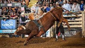 Video post by @pbr on YouTube