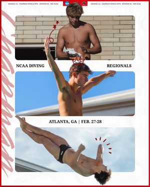 Image post by @chapmanuswimdive on Instagram