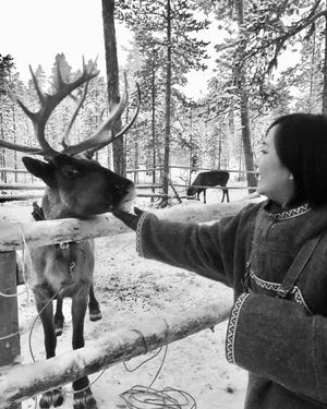 Image post by @johanamay on Instagram