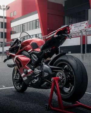 Image post by @panigalers on Instagram