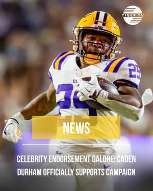 Image post by @lsutigertv on Instagram