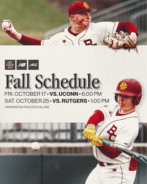 Image post by @BCBirdBall on Twitter