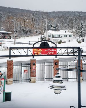 Image post by @altoonacurve on Instagram