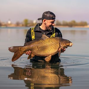 Image post by @brothercarp on Instagram