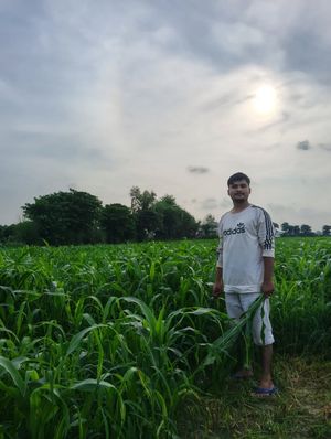Image post by @gangeshabhir on Instagram