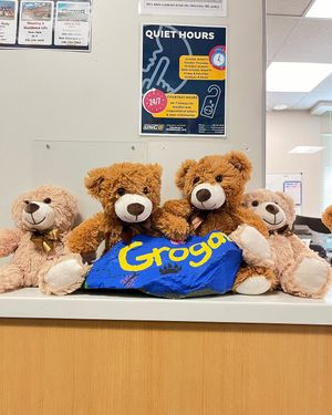 Image post by @grogancollegeuncg on Instagram