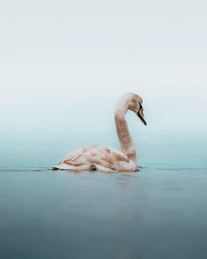 Image post by @danigoinhamm on Instagram