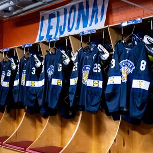 Image post by @leijonatfi on Instagram