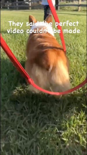 Video post by @mtzler on Instagram