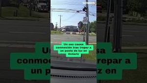 Video post by @laopinionla on YouTube