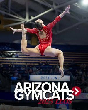 Image post by @arizonagymcats on Instagram