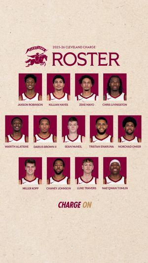 Video post by @chargecle on TikTok