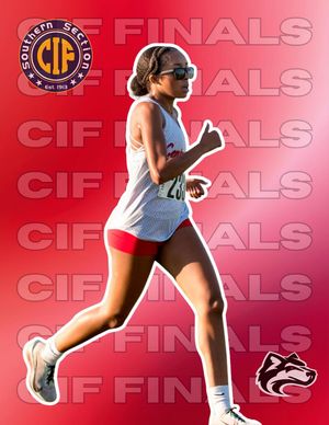 Image post by @cen10xctf on Instagram