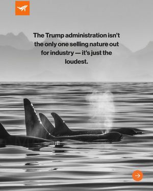 Image post by @sealegacy on Instagram