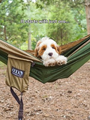 Image post by @enohammocks on Instagram